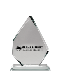 Orillia District Chamber of Commerce Marketing and Promotion Award 2017