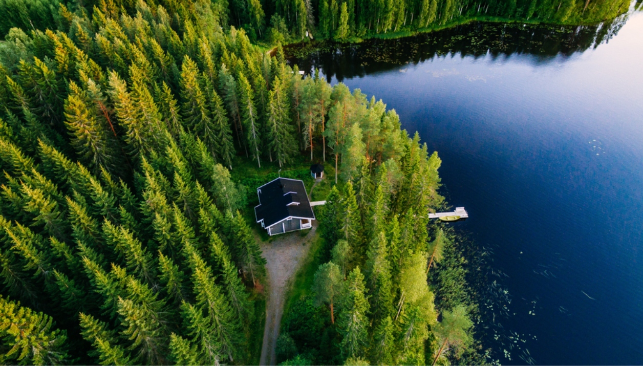 Aerial photo of a wooded lakeside cottage property.
